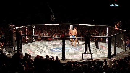 ufc gewichtsklassen|Ultimate Fighting Championship – Wikipedia.